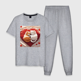 Мужская пижама хлопок с принтом Котята на подушке в Курске, 100% хлопок | брюки и футболка прямого кроя, без карманов, на брюках мягкая резинка на поясе и по низу штанин
 | 