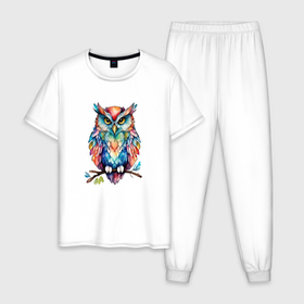 Мужская пижама хлопок с принтом Цветастая сова в Белгороде, 100% хлопок | брюки и футболка прямого кроя, без карманов, на брюках мягкая резинка на поясе и по низу штанин
 | 