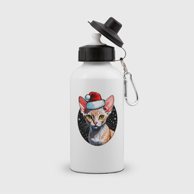 Бутылка спортивная с принтом Кот породы Девон рекс в новогодней шапке , металл | емкость — 500 мл, в комплекте две пластиковые крышки и карабин для крепления | 
