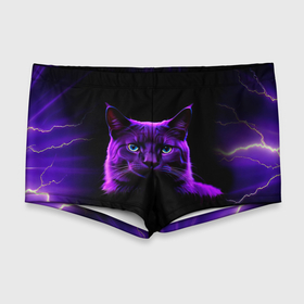 Мужские купальные плавки 3D с принтом Фиолетовый кот и молнии на черном фоне , Полиэстер 85%, Спандекс 15% |  | Тематика изображения на принте: 