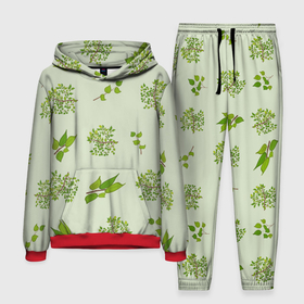 Мужской костюм с толстовкой 3D с принтом Веточки с зелеными листьями растение в Кировске,  |  | Тематика изображения на принте: 