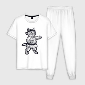 Мужская пижама хлопок с принтом Котик каратист в Екатеринбурге, 100% хлопок | брюки и футболка прямого кроя, без карманов, на брюках мягкая резинка на поясе и по низу штанин
 | 