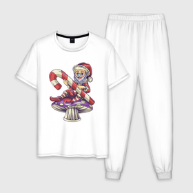 Мужская пижама хлопок с принтом Санта на грибке в Курске, 100% хлопок | брюки и футболка прямого кроя, без карманов, на брюках мягкая резинка на поясе и по низу штанин
 | 