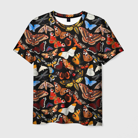 Мужская футболка 3D с принтом Разноцветные тропические бабочки в Тюмени, 100% полиэфир | прямой крой, круглый вырез горловины, длина до линии бедер | 