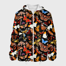 Мужская куртка 3D с принтом Разноцветные тропические бабочки в Новосибирске, ткань верха — 100% полиэстер, подклад — флис | прямой крой, подол и капюшон оформлены резинкой с фиксаторами, два кармана без застежек по бокам, один большой потайной карман на груди. Карман на груди застегивается на липучку | 