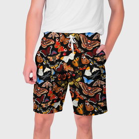 Мужские шорты 3D с принтом Разноцветные тропические бабочки в Новосибирске,  полиэстер 100% | прямой крой, два кармана без застежек по бокам. Мягкая трикотажная резинка на поясе, внутри которой широкие завязки. Длина чуть выше колен | Тематика изображения на принте: 