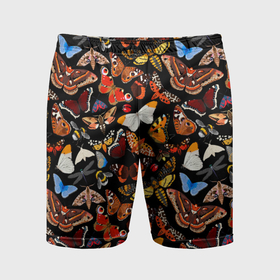 Мужские шорты спортивные с принтом Разноцветные тропические бабочки в Новосибирске,  |  | 