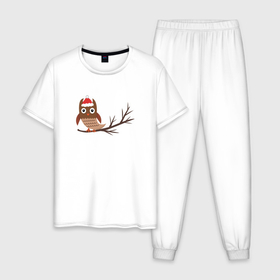 Мужская пижама хлопок с принтом Новогодняя сова на ветке в Екатеринбурге, 100% хлопок | брюки и футболка прямого кроя, без карманов, на брюках мягкая резинка на поясе и по низу штанин
 | 