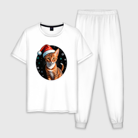 Мужская пижама хлопок с принтом Кот Абиссинской породы в новогодней шапке в Курске, 100% хлопок | брюки и футболка прямого кроя, без карманов, на брюках мягкая резинка на поясе и по низу штанин
 | 
