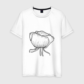 Мужская футболка хлопок с принтом Роза цветущий бутон в Белгороде, 100% хлопок | прямой крой, круглый вырез горловины, длина до линии бедер, слегка спущенное плечо. | Тематика изображения на принте: 