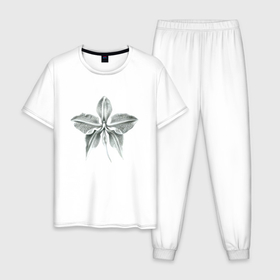 Мужская пижама хлопок с принтом Белая орхидея фактурная в Белгороде, 100% хлопок | брюки и футболка прямого кроя, без карманов, на брюках мягкая резинка на поясе и по низу штанин
 | Тематика изображения на принте: 