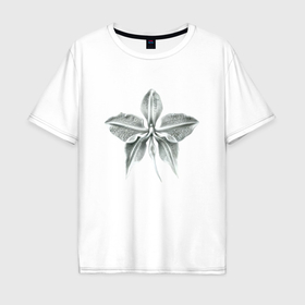Мужская футболка хлопок Oversize с принтом Белая орхидея фактурная в Тюмени, 100% хлопок | свободный крой, круглый ворот, “спинка” длиннее передней части | 