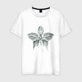 Мужская футболка хлопок с принтом Белая орхидея фактурная в Белгороде, 100% хлопок | прямой крой, круглый вырез горловины, длина до линии бедер, слегка спущенное плечо. | Тематика изображения на принте: 