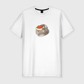 Мужская футболка хлопок Slim с принтом Спящий новогодний кот в Курске, 92% хлопок, 8% лайкра | приталенный силуэт, круглый вырез ворота, длина до линии бедра, короткий рукав | Тематика изображения на принте: 