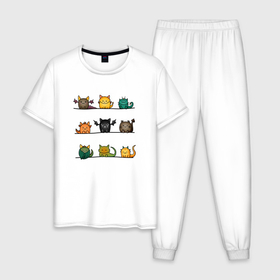 Мужская пижама хлопок с принтом Кошки дракошки , 100% хлопок | брюки и футболка прямого кроя, без карманов, на брюках мягкая резинка на поясе и по низу штанин
 | 
