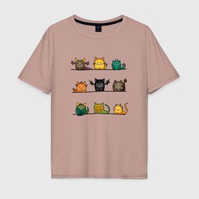 Мужская футболка хлопок Oversize с принтом Кошки дракошки в Курске, 100% хлопок | свободный крой, круглый ворот, “спинка” длиннее передней части | 