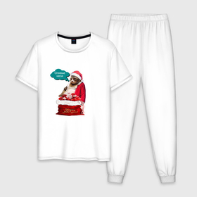 Мужская пижама хлопок с принтом Кот дед мороз с подарками   оливье в Курске, 100% хлопок | брюки и футболка прямого кроя, без карманов, на брюках мягкая резинка на поясе и по низу штанин
 | 
