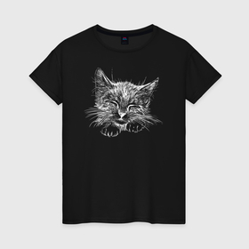Женская футболка хлопок с принтом Спящий котик в Петрозаводске, 100% хлопок | прямой крой, круглый вырез горловины, длина до линии бедер, слегка спущенное плечо | 