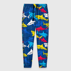 Мужские брюки 3D с принтом Разноцветные акулы на глубине в Тюмени, 100% полиэстер | манжеты по низу, эластичный пояс регулируется шнурком, по бокам два кармана без застежек, внутренняя часть кармана из мелкой сетки | 