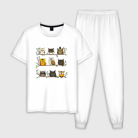 Мужская пижама хлопок с принтом Совушки на ветке в Тюмени, 100% хлопок | брюки и футболка прямого кроя, без карманов, на брюках мягкая резинка на поясе и по низу штанин
 | Тематика изображения на принте: 