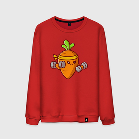 Мужской свитшот хлопок с принтом Морковь на спорте , 100% хлопок |  | Тематика изображения на принте: 