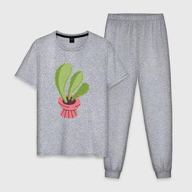 Мужская пижама хлопок с принтом Кактус комнатное растение в Новосибирске, 100% хлопок | брюки и футболка прямого кроя, без карманов, на брюках мягкая резинка на поясе и по низу штанин
 | 