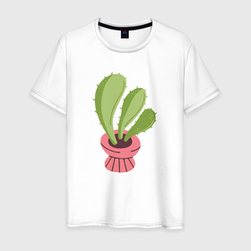 Мужская футболка хлопок с принтом Кактус комнатное растение в Тюмени, 100% хлопок | прямой крой, круглый вырез горловины, длина до линии бедер, слегка спущенное плечо. | 