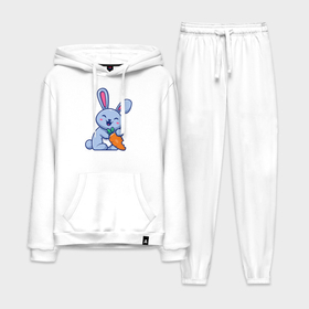 Мужской костюм хлопок с толстовкой с принтом Радостный кролик с морковкой в Кировске,  |  | 