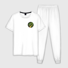 Мужская пижама хлопок с принтом Эмблема зелёного дракона с мандаринами в Курске, 100% хлопок | брюки и футболка прямого кроя, без карманов, на брюках мягкая резинка на поясе и по низу штанин
 | 