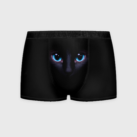 Мужские трусы 3D с принтом Чёрная кошка с голубыми глазами , 50% хлопок, 50% полиэстер | классическая посадка, на поясе мягкая тканевая резинка | 