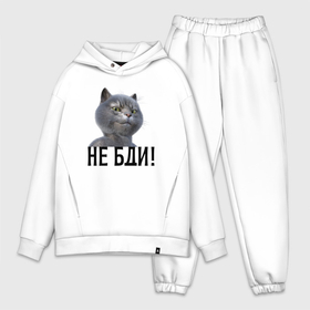 Мужской костюм oversize хлопок с принтом Высокомерный кот не бди в городе Новоалтайск,  |  | Тематика изображения на принте: 