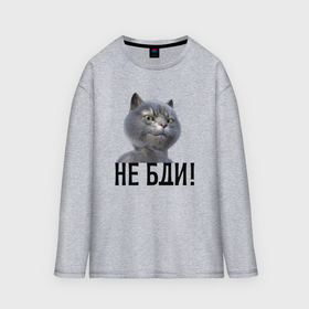 Мужской лонгслив oversize хлопок с принтом Высокомерный кот не бди в городе Новоалтайск,  |  | Тематика изображения на принте: 