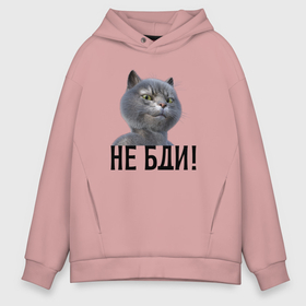 Мужское худи Oversize хлопок с принтом Высокомерный кот не бди в городе Новоалтайск, френч-терри — 70% хлопок, 30% полиэстер. Мягкий теплый начес внутри —100% хлопок | боковые карманы, эластичные манжеты и нижняя кромка, капюшон на магнитной кнопке | Тематика изображения на принте: 