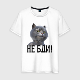 Мужская футболка хлопок с принтом Высокомерный кот не бди в городе Новоалтайск, 100% хлопок | прямой крой, круглый вырез горловины, длина до линии бедер, слегка спущенное плечо. | Тематика изображения на принте: 