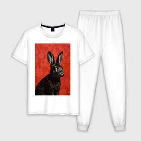 Мужская пижама хлопок с принтом Черный кролик на красном фоне в Новосибирске, 100% хлопок | брюки и футболка прямого кроя, без карманов, на брюках мягкая резинка на поясе и по низу штанин
 | 