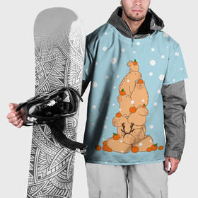 Накидка на куртку 3D с принтом Гора капибара в снегу , 100% полиэстер |  | 