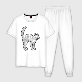 Мужская пижама хлопок с принтом Испуганный котик в Новосибирске, 100% хлопок | брюки и футболка прямого кроя, без карманов, на брюках мягкая резинка на поясе и по низу штанин
 | 