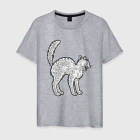 Мужская футболка хлопок с принтом Испуганный котик в Новосибирске, 100% хлопок | прямой крой, круглый вырез горловины, длина до линии бедер, слегка спущенное плечо. | Тематика изображения на принте: 