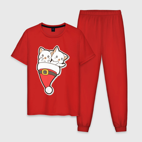 Мужская пижама хлопок с принтом Вдвоем веселее с котиками в Кировске, 100% хлопок | брюки и футболка прямого кроя, без карманов, на брюках мягкая резинка на поясе и по низу штанин
 | 