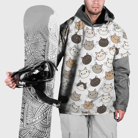 Накидка на куртку 3D с принтом Кошачьи моськи в Тюмени, 100% полиэстер |  | 