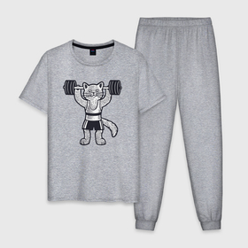 Мужская пижама хлопок с принтом Кот штангист , 100% хлопок | брюки и футболка прямого кроя, без карманов, на брюках мягкая резинка на поясе и по низу штанин
 | 