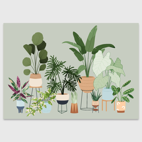 Поздравительная открытка с принтом Комнатные растения и цветы в Курске, 100% бумага | плотность бумаги 280 г/м2, матовая, на обратной стороне линовка и место для марки
 | 