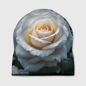 Шапка 3D с принтом Белая роза в каплях воды в Курске, 100% полиэстер | универсальный размер, печать по всей поверхности изделия | 