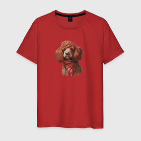 Мужская футболка хлопок с принтом Пудель рыжий с шейным платком в Санкт-Петербурге, 100% хлопок | прямой крой, круглый вырез горловины, длина до линии бедер, слегка спущенное плечо. | 