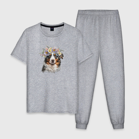 Мужская пижама хлопок с принтом Австралийская овчарка аусси в цветочном венке в Екатеринбурге, 100% хлопок | брюки и футболка прямого кроя, без карманов, на брюках мягкая резинка на поясе и по низу штанин
 | 