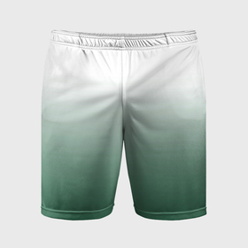 Мужские шорты спортивные с принтом Туманный градиент бело зелёный в Белгороде,  |  | 
