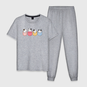 Мужская пижама хлопок с принтом Котята в кармашках , 100% хлопок | брюки и футболка прямого кроя, без карманов, на брюках мягкая резинка на поясе и по низу штанин
 | 