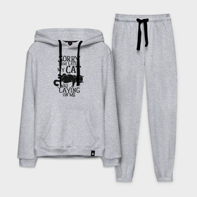 Мужской костюм хлопок с толстовкой с принтом Я опоздал   на мне лежал кот в Ухте,  |  | 