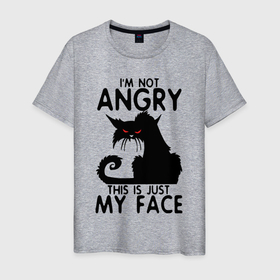 Мужская футболка хлопок с принтом I am not angry  cat в Кировске, 100% хлопок | прямой крой, круглый вырез горловины, длина до линии бедер, слегка спущенное плечо. | Тематика изображения на принте: 