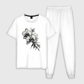 Мужская пижама хлопок с принтом Дикая орхидея в Тюмени, 100% хлопок | брюки и футболка прямого кроя, без карманов, на брюках мягкая резинка на поясе и по низу штанин
 | Тематика изображения на принте: 
